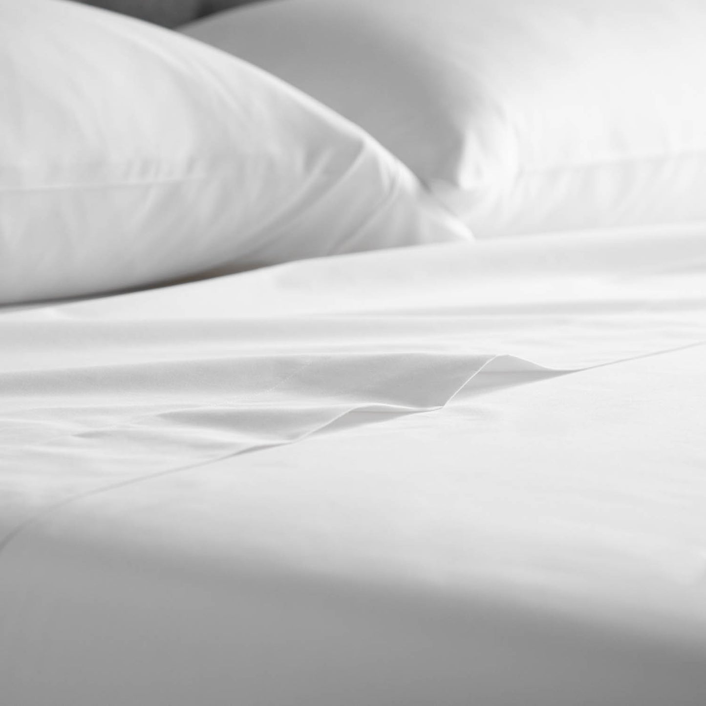 Hotel Flat Sheet