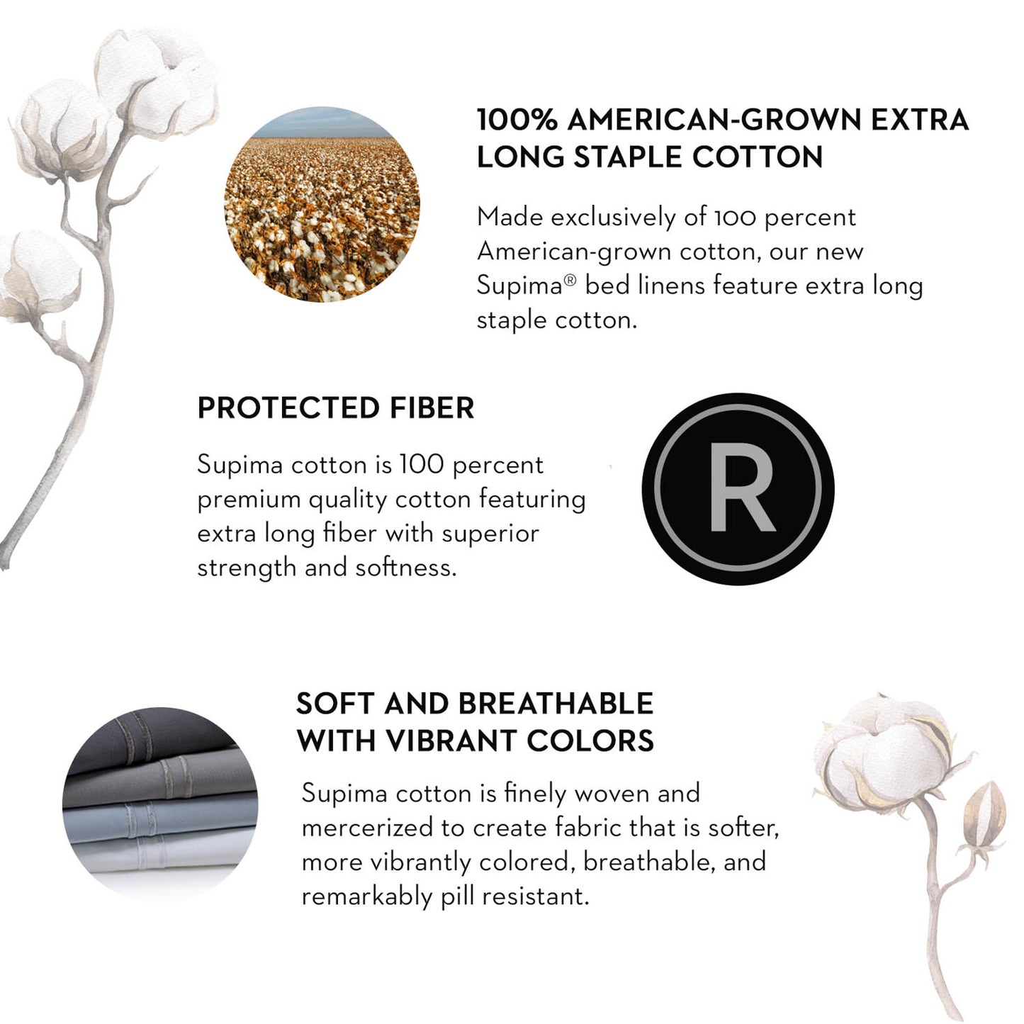 Supima® Cotton Sheets