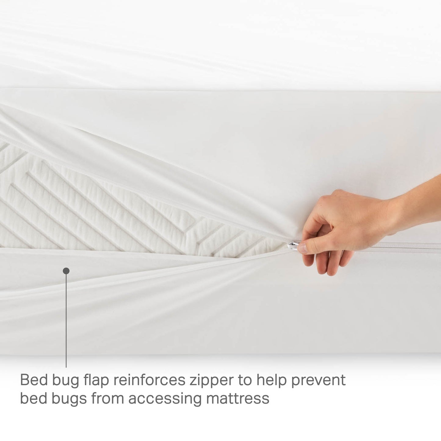 Hotel-Grade Mattress Encasement